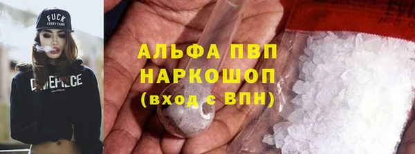 spice Аша
