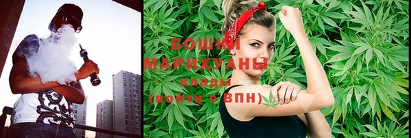 дурь Надым