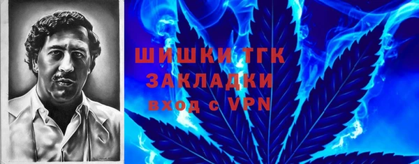 дурь Надым