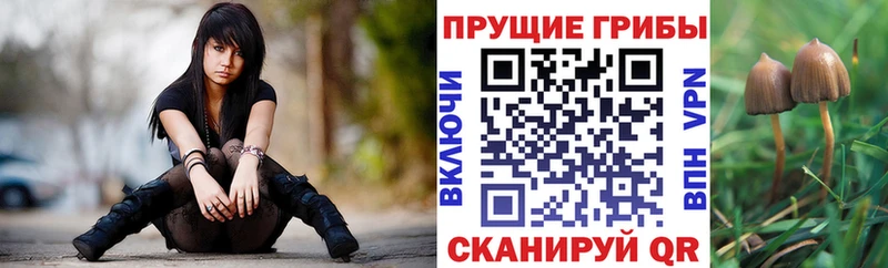 Псилоцибиновые грибы Magic Shrooms  где можно купить наркотик  Усолье-Сибирское 